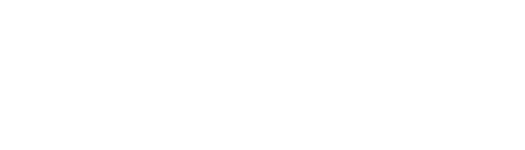 Night of hoop potch logo